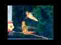 Hummingbird fights 300fps SloMo male and female allen's Cat.#V11210, 512x384 H.264/AVC1 (.MOV), 43 sec. at 30fps 