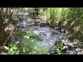 Shady running stream Cat.#V11525, 1920x1080 H.264/AVC1 (.MOV), 31 sec. at 30fps 