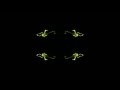 Composited kaleidoscopic GlowWorms light trails timelapse Cat.#V11615e, 1920x1080 Motion JPEG (.AVI), 31 sec. at 30fps 