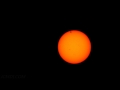 Venus Transit Timelapse Zoomed Set 1 Seq2 Cat.#V11620, 1920x1080 Motion JPEG (.AVI), 20 sec. at 30fps 