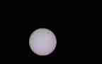 Venus Transit throught dark filter timelapse progress 5D Seq 1 Cat.#V11638, 1920x1080 Motion JPEG (.AVI), 7 sec. at 30fps 