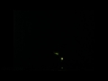 GlowWorms timelapse high ISO(1600) Canon 300HS 10sec interval Cat.#V11648, 1920x1080 Motion JPEG (.AVI), 28 sec. at 30fps 
