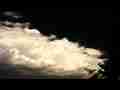 Nice cumulus cloud forming in dark sky timelapse Canon SX10 Cat.#V11854, 1920x1080 Motion JPEG (.AVI), 19 sec. at 30fps 