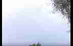 DayLightning 300fps Casio EX-F1 slow motion daytime lightning (so-so) Cat.#V11893, 512x384 H.264/AVC1 (.MOV), 24 sec. at 30fps 