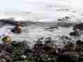Ventura Beach rocks and light waves realtime Cat.#V12050, 1920x1080i H.264/AVC1 (.MOV), 71 sec. at 30fps 