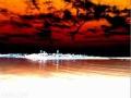 Technician - Dark Harbor (Mission Control track 2) V12094 Cat.#V12094, 1280x720 WMP v9 (VC-1 Simple/Main)/WMV3(.WMV), 272 sec. at 30fps 