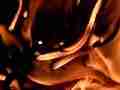 Beautiful wavy flames slow motion 300fps uspcaled to 1080p 20Mb Cat.#V12214a, 1920x1080 Motion JPEG (.AVI), 125 sec. at 30fps 