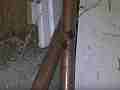 Black Widow Spider vs Alligator Lizard distant shot of spider in web Cat.#V12394, 1920x1080 H.264/AVCHD (.MTS), 15 sec. at 30fps 
