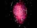 Slow Motion Fireworks Castaic 2013 using Casio EX-F1 300fps Cat.#V13027, 512x384 H.264/AVC1 (.MOV), 156 sec. at 30fps 