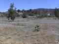 East Walker Ranch Placeria Canyon (SDI) Back to Nature Cat.#V13051, 1920x1080 H.264 AVCHD (.MTS), 26 sec. at 30fps 