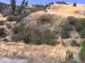 East Walker Ranch Placeria Canyon (SDI) Back to Nature Cat.#V13055, 1920x1080 H.264 AVCHD (.MTS), 27 sec. at 30fps 