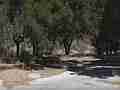 East Walker Ranch Placeria Canyon (SDI) Back to Nature Cat.#V13071, 1920x1080 H.264 AVCHD (.MTS), 18 sec. at 30fps 