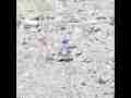 Slow Motion Target 300fps Glass jar miss and hit Casio EX-F1 Cat.#V13276, 512x384 H.264/AVC1 (.MOV), 21 sec. at 30fps 