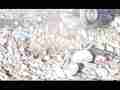 600fps slow motion shooting a paint can bottom on ground (22) Cat.#V13320, 432x192 H.264/AVC1 (.MOV), 17 sec. at 30fps 