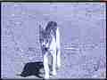 Slow motion evil cat stalking 240fps (dim) Cat.#V21009, 1920x1080 MPEG2/AVC(.MTS), 40 sec. at 240fps 