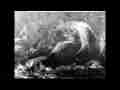 GOES IR Satellite North Pacific Ocean Dec, 2016 Cat.#V21146, 1920x1080 H.264/MPEG-4 AVC/avc1(.MP4), 37 sec. at 29.971fps 