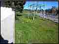 Great Blue Heron in grassy field  Cat.#V21177, 1920x1080 H.264/avc1(.MOV), 10 sec. at 23.976fps 