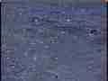 240fps slow motion FHD heavy raindrops in puddle (Sony FS700) Cat.#V21226, 1920x1080 MPEG2/AVC(.MTS), 40 sec. at 240fps 