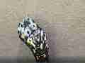 4K super macro Butterfly caterpillar spins silk suspension loop Cat.#V22322, 3840x2160 H.264/MPEG-4 AVC/avc1(.MP4), 15 sec. at 29.971fps 