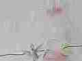 Fast Hummingbird attack at feeder 240fps slow motion Cat.#V23617, 1920x1080 MPEG2/AVC(.MTS), 18 sec. at 240/23.98fps 