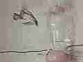 Two Hummingbirds tangle at the feeder 240fps slow motion Cat.#V23659, 1920x1080 MPEG2/AVC(.MTS), 12 sec. at 240/23.98fps 