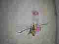 Nasty Hummingbird fights and bites at feeder  recorded in 120ps slow motion [playback at 15fps = -10x] Cat.#V23674, 1920x1080 CineForm 10-bit Visually Perfect HD (Wavelet)/CFHD(.AVI), 29 sec. at 15fps 