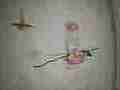Hummingbird bites another and fight continues off screen in 240fps slow motion recorded in 120ps slow motion [playback at 15fps = -10x] Cat.#V23694, 1920x1080 CineForm 10-bit Visually Perfect HD (Wavelet)/CFHD(.AVI), 28 sec. at 15fps 