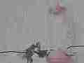 Mean Hummingbird throws one other off feeder 240fps slow motion [playback at 23.98 = -10x] Cat.#V23728, 1920x1080 MPEG2/AVC(.MTS), 21 sec. at 240/23.98fps 