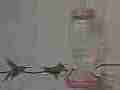 Two Hummingbirds fight it out at the feeder 240fps slow motion [playback at 23.98 = -10x] Cat.#V23744, 1920x1080 MPEG2/AVC(.MTS), 31 sec. at 240/23.98fps 