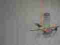 A hummingbird dodges another's attack in 240fps slow motion recorded in 120ps slow motion [playback at 15fps = -10x] Cat.#V23790, 1920x1080 CineForm 10-bit Visually Perfect HD (Wavelet)/CFHD(.AVI), 14 sec. at 15fps 