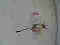 Hummingbird just decides to attack another in 240fps slow motion recorded in 120ps slow motion [playback at 15fps = -10x] Cat.#V23803, 1920x1080 CineForm 10-bit Visually Perfect HD (Wavelet)/CFHD(.AVI), 19 sec. at 15fps 