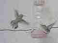 Hummingbird flies out to fight intruder in 240fps slow motion [playback at 23.98 = -10x] Cat.#V23812, 1920x1080 MPEG2/AVC(.MTS), 19 sec. at 240/23.98fps 