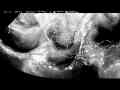 GOES Weather IR Satellite 3-Month Timelapse Oct-Dec 2017 V23924 Cat.#V23924, 1280x720 H.264/MPEG-4 AVC/avc1(.MP4), 144 sec. at 29.971fps 