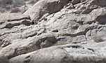 Vasquez Rocks 4K rocky hillside ease out V24335 Cat.#V24335, 3840x2160 H.264/MPEG-4 AVC/avc1(.MP4), 28 sec. at 29.971fps 