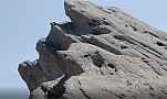 Vasquez Rocks 4K main formation peak southeast ease out V24342 Cat.#V24342, 3840x2160 H.264/MPEG-4 AVC/avc1(.MP4), 18 sec. at 29.971fps 